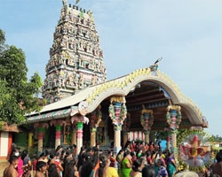 பாணாகவெட்டி அம்பாள் கோவில் வருடாந்த மகோற்சவம் - 2021